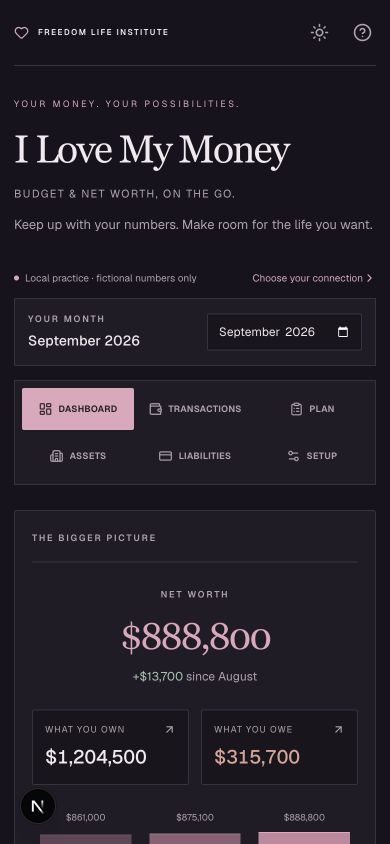I Love My Money sample dashboard with dusty pink figures, six navigation tabs, net worth, assets and liabilities.